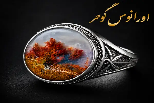 6 خواص عقیق شجر پاییزی اصل ؛ معرفی 5 مدل انگشتر شجر پاییزی | اورانوس گوهر
