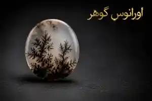 6 تا از خواص شگفت انگیز عقیق شجر سه قلعه | نماد رشد و استواری تا تشخیص عقیق شجر اصل